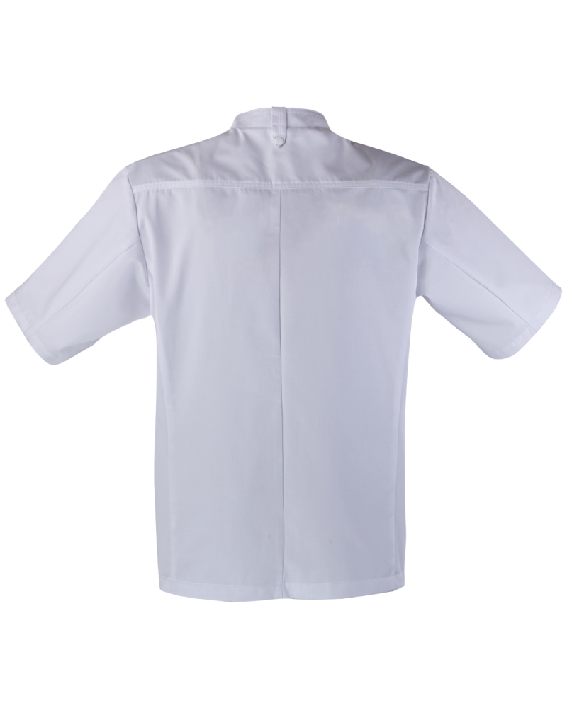 Bluza Kucharska z Krótkim Rękawem KBT (Biała) - tył bluzy