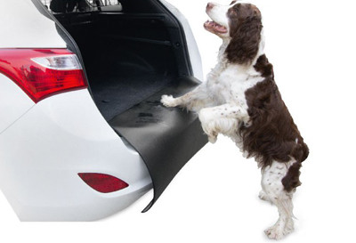 Ochraniacz zderzaka BARRY