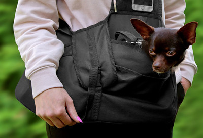 Torba do przenoszenia psa rozmiar M Beverly Hills