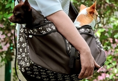 Torba do przenoszenia psa rozmiar L Beverly Hills