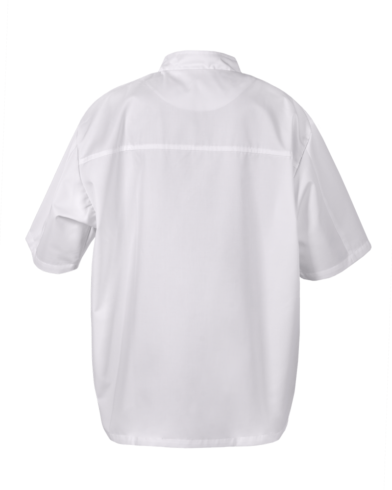 Bluza męska 3677 – Krótki Rękaw KBT - tył