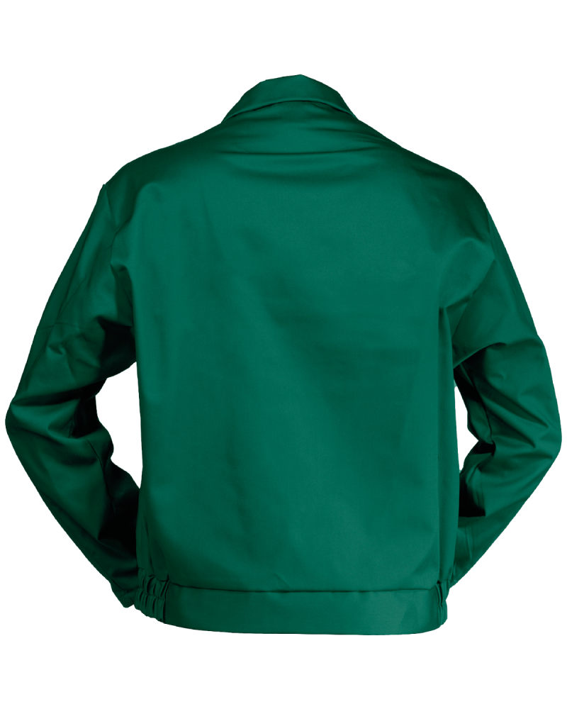 Bluza classic Kneiter, zielona - tył bluzy