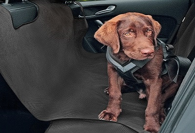 Mata samochodowa dla psa ALEX, Rozmiar XL