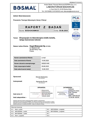 Raport